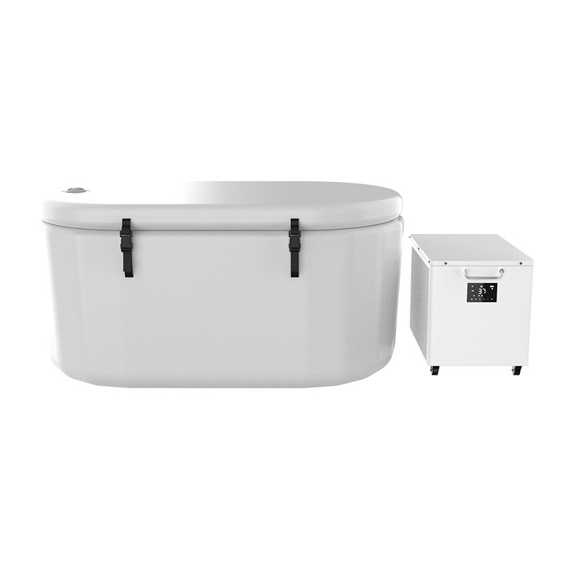 Inséidte linn snámha mór fuar fuar inséidte