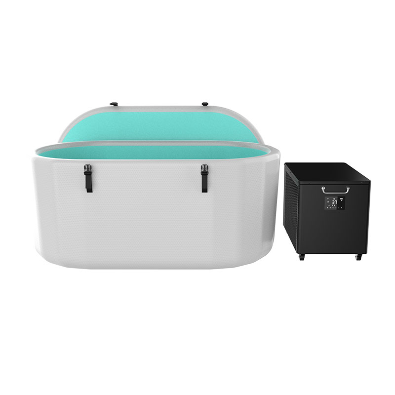 Inséidte linn snámha mór fuar fuar inséidte